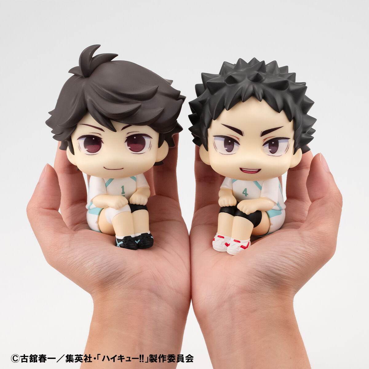 るかっぷ ハイキュー!! 及川 徹/岩泉 一 ユニフォームVer.【限定座布団