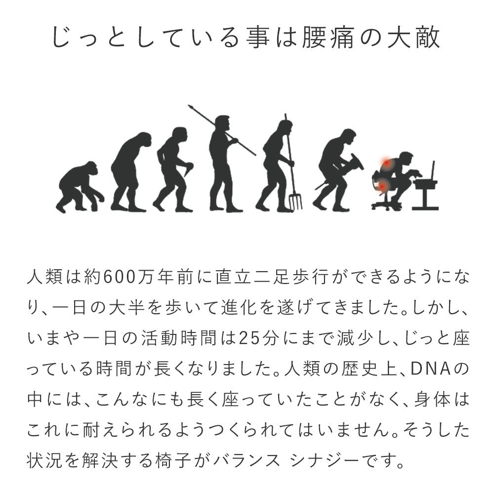 腰痛対策椅子｜バランス シナジー バランスラボ – バランスチェアの