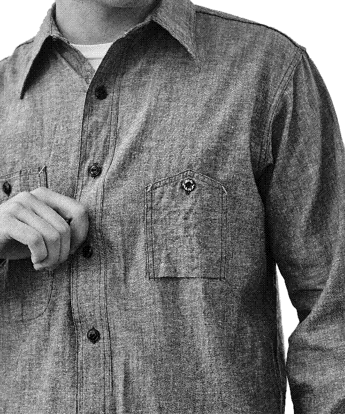 DETAIL｜BIG YANK