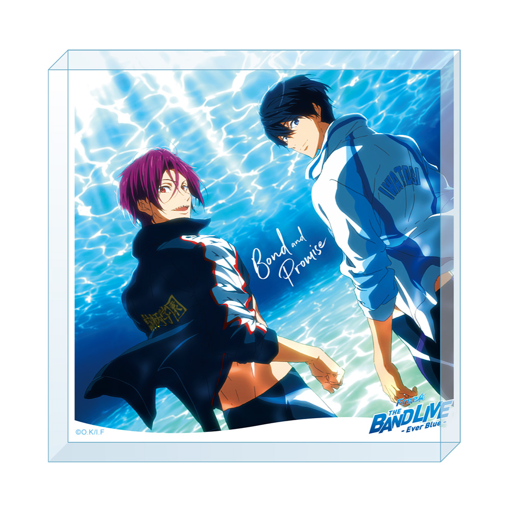 初回限定版】映画 ハイ☆スピード！―Free！ Starting Days― | きゃにめ