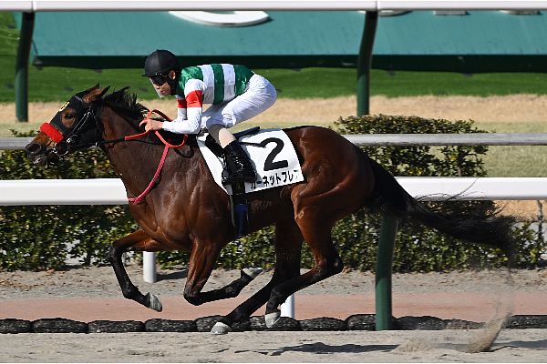 勝利馬一覧｜キャロットクラブ -CARROT CLUB-