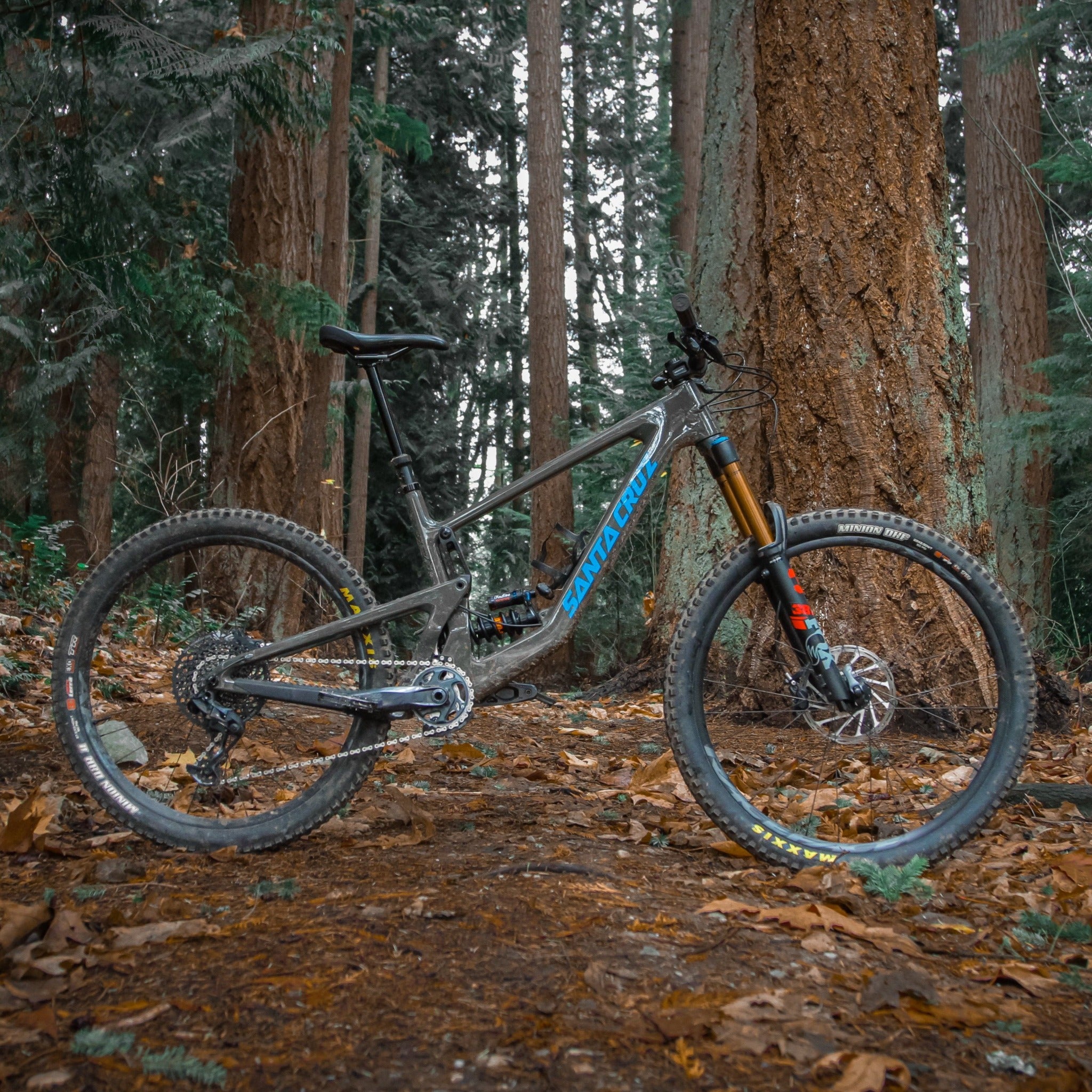 Santa Cruz V4 Bronson LT Link | US | Cascade Components