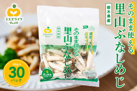 そのまま使える里山ぶなしめじ（栃木県那須工場産） ns086-001 きのこ