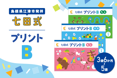 江津市限定返礼品 七田式プリントB 3歳半～5歳｜しちだ 七田式プリント