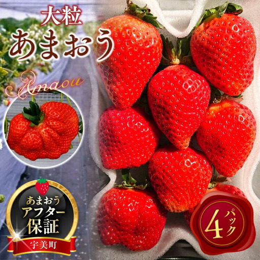 いちご あまおう 厳選大粒 4パック [um40azo780007] いちご | 福岡県