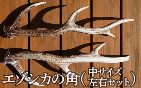 蝦夷鹿の角40本セット』 鹿角 蝦夷鹿の角40本セット』 鹿角 蝦夷鹿の角
