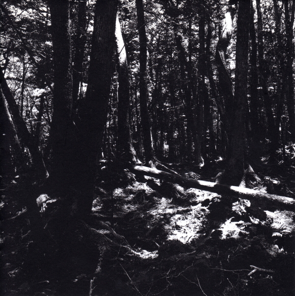 Turnaround by 東京酒吐座 [Tokyo Shoegazer] (Album, Shoegaze