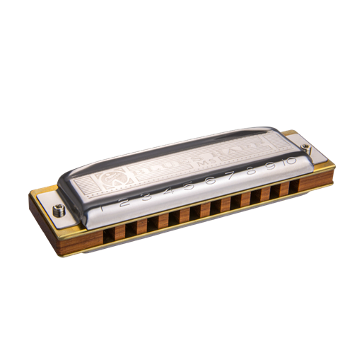Ernie Williamson Music - Hohner Blues Harp D