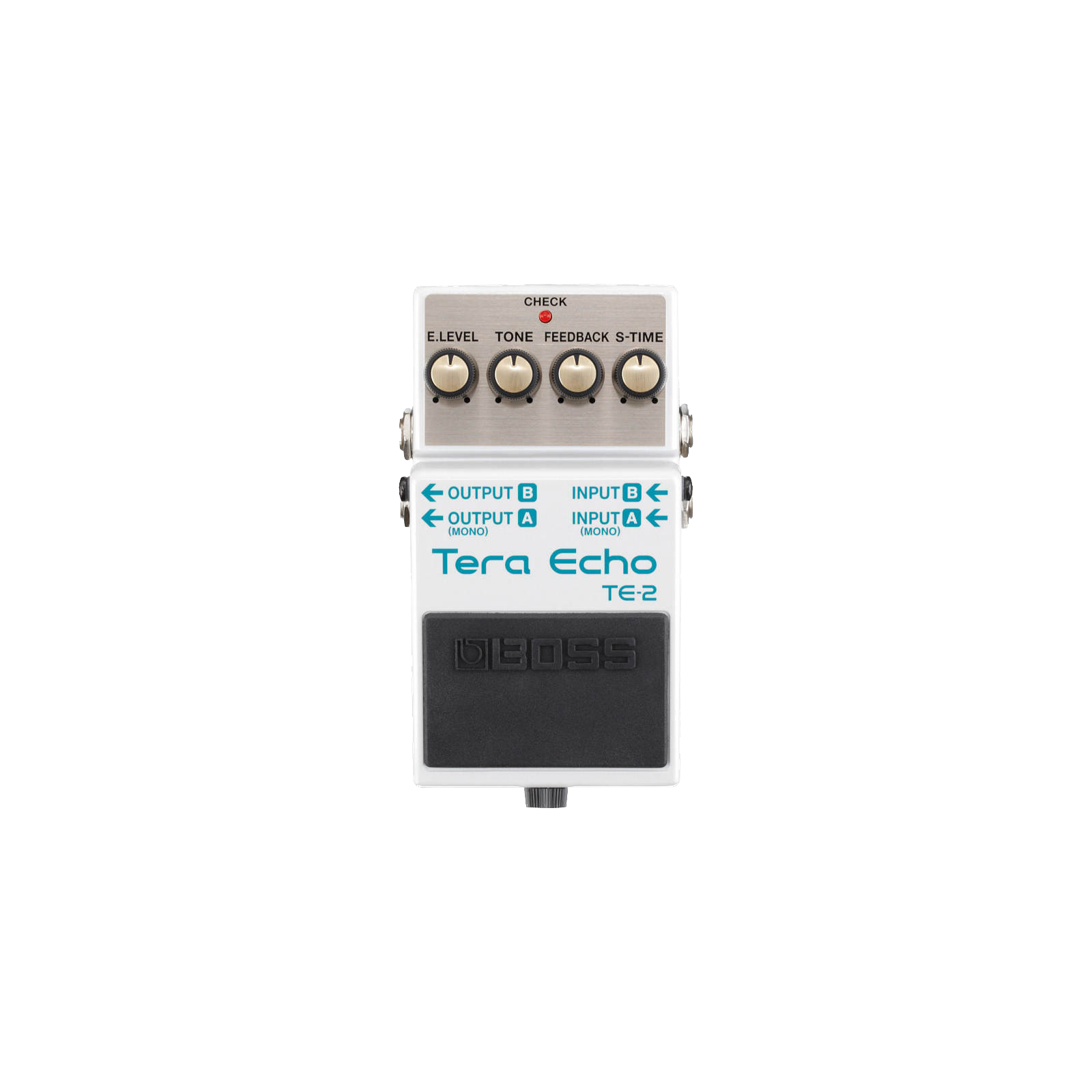 Ernie Williamson Music - Boss TE-2 Terra Echo