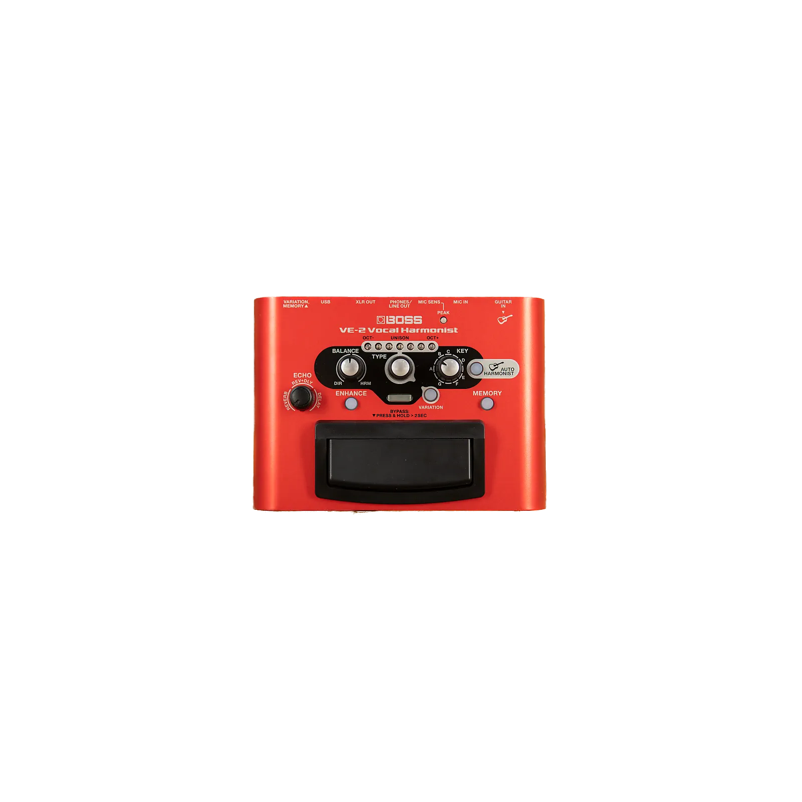 Ernie Williamson Music - Boss VE-2 Portable Vocal Harmonist