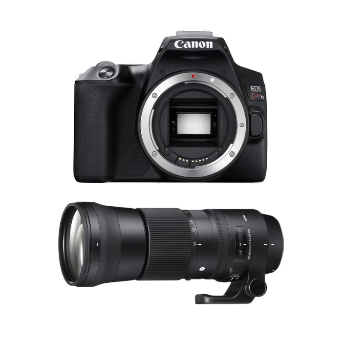 レンタル] CANON EOS Kiss X10とシグマの超望遠ズームレンズ(150-600mm