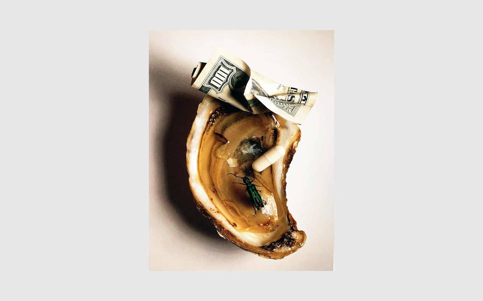 未開封「Still Life 」Irving Penn 出版イギリス2001年 未開封「Still
