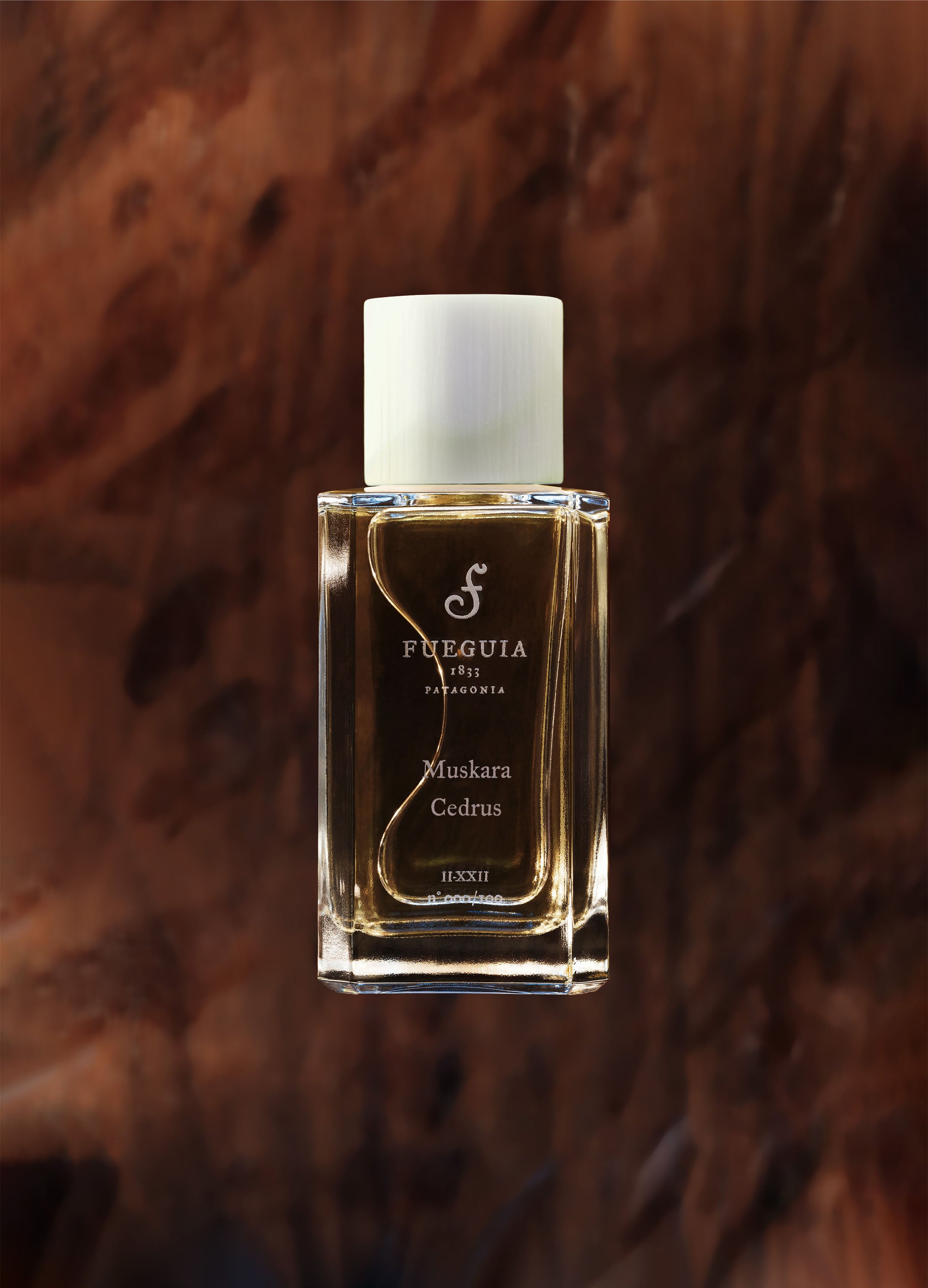 FUEGUIA 1833 | Muskara Cedrus｜ムスカラ ケドルス – FUEGUIA 1833